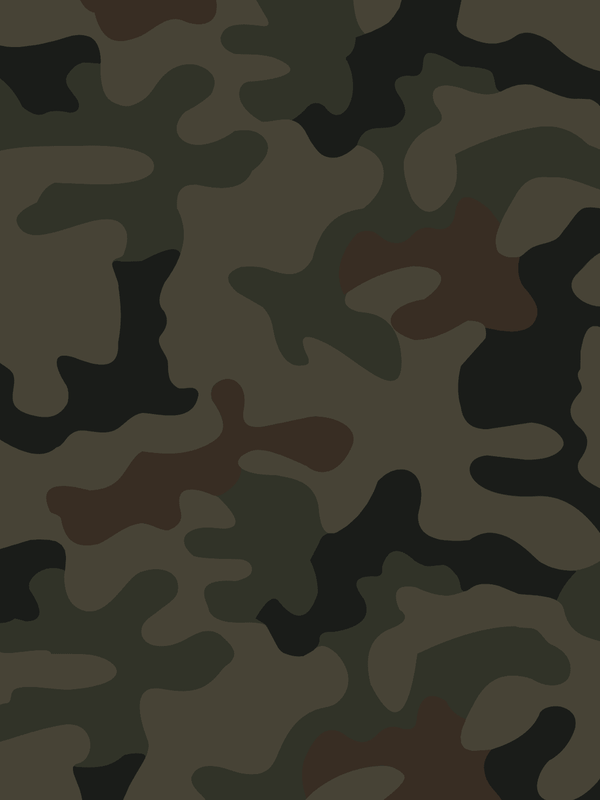 kolor militarny